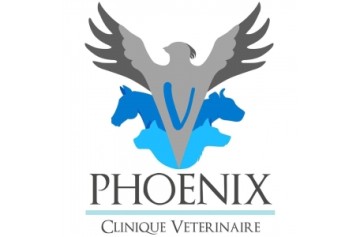 Selarl Phoenix