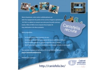 Canisfelis