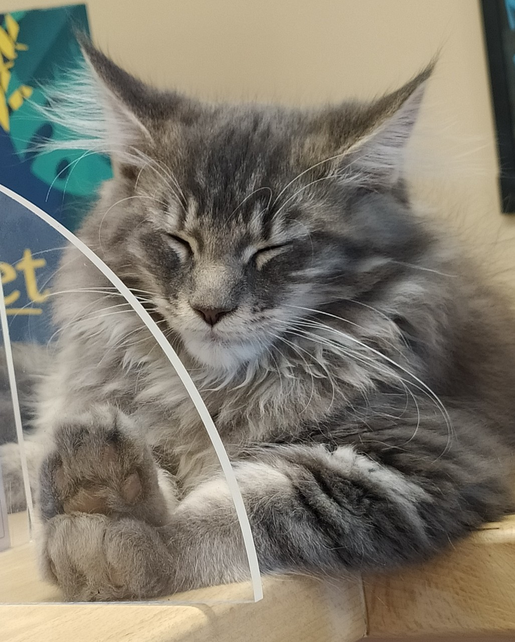 Selarl Clinique vétérinaire