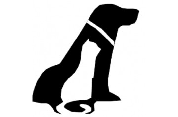 Selarl Clinique Vétérinaire De Chalais