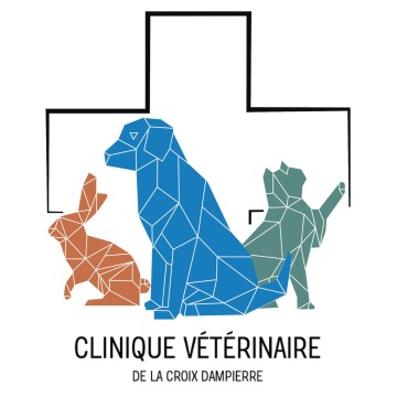  Clinique Vétérinaire De La Croix Dampierre 