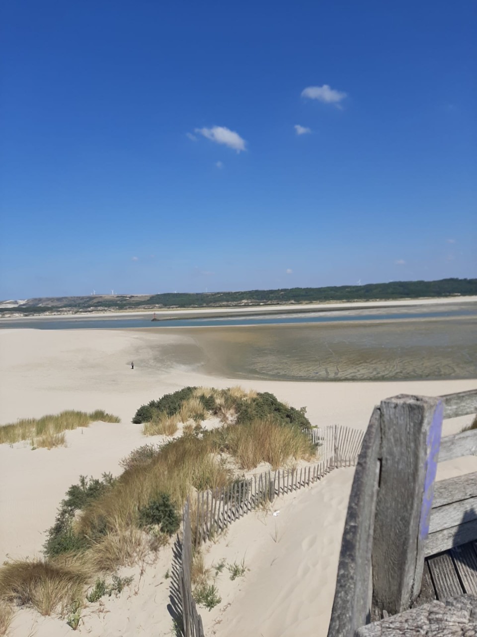Clinique Veterinaire Maeva De La Cote D'opale