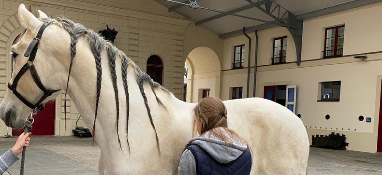 ECOLE NATIONALE VETERINAIRE D'ALFORT - CHUV-EQ