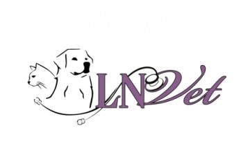 Lnvet