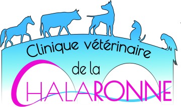  Clinique Vétérinaire De La Chalaronne 