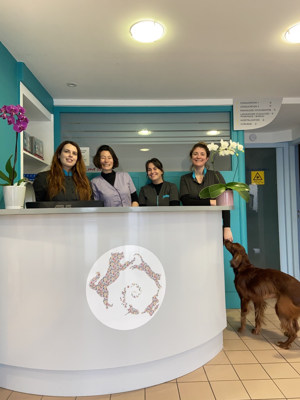 SELARL VETOS ET COMPAGNIE