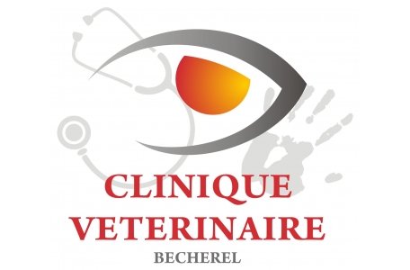 Clinique Vétérinaire D'ille Et D'armor