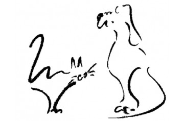 Selarlu Veterinaire Julien Vimal