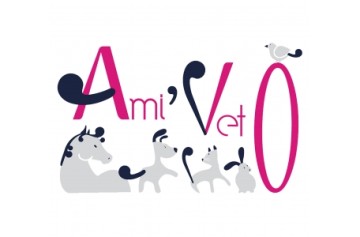 Ami'veto