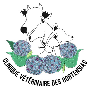 Clinique Des Hortensias