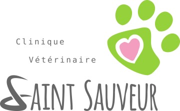  Clinique Veterinaire Saint Sauveur 