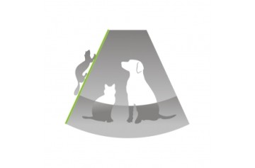Clinique Veterinaire De La Clef St Pierre