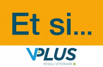 Vplus Saint Savin