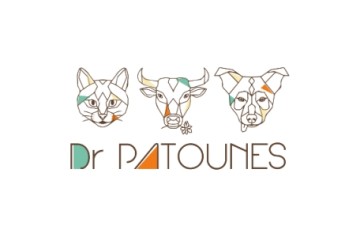 Dr Patounes
