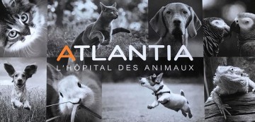 CHV Atlantia