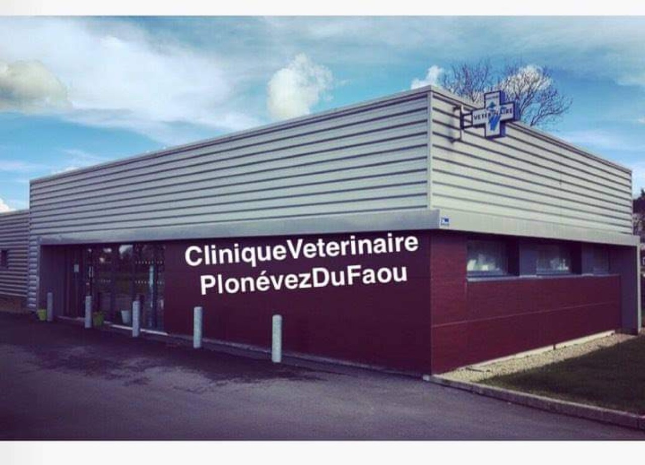 Selarl Du Moulin À Vent