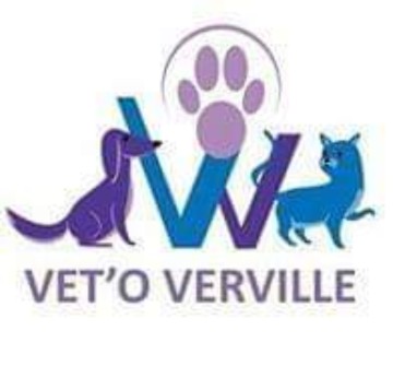 Vet'o Verville