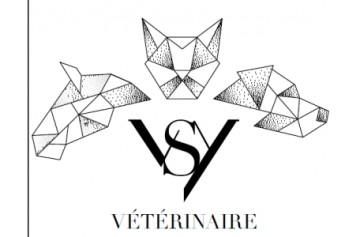 Selarl Vsy Veterinaire
