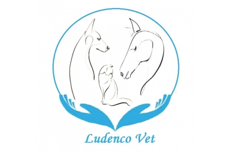 Clinique Ludenco Vet