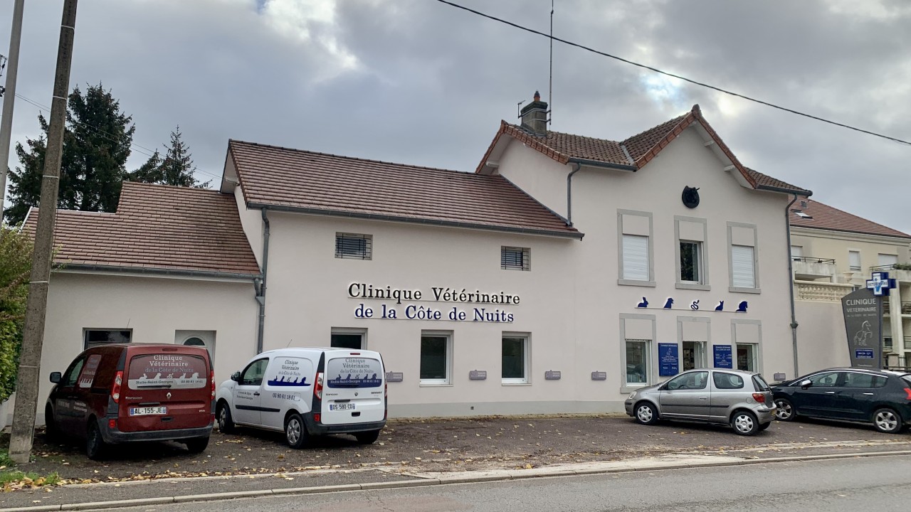 Clinique Vétérinaire De La Côte De Nuits
