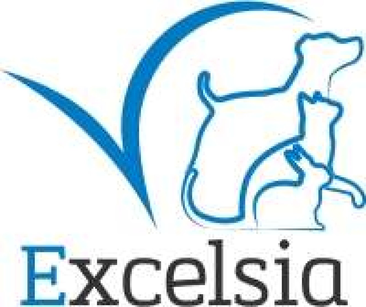 Clinique Vétérinaire Excelsia