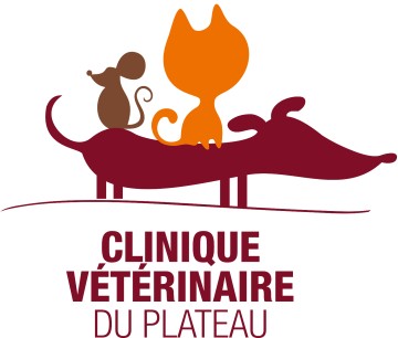 Clinique Vétérinaire du Plateau