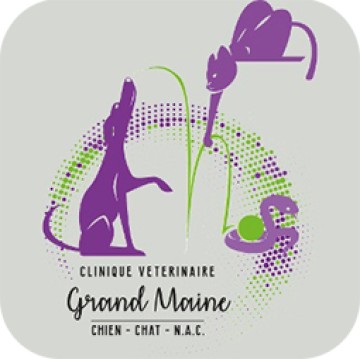 Clinique Grand Maine