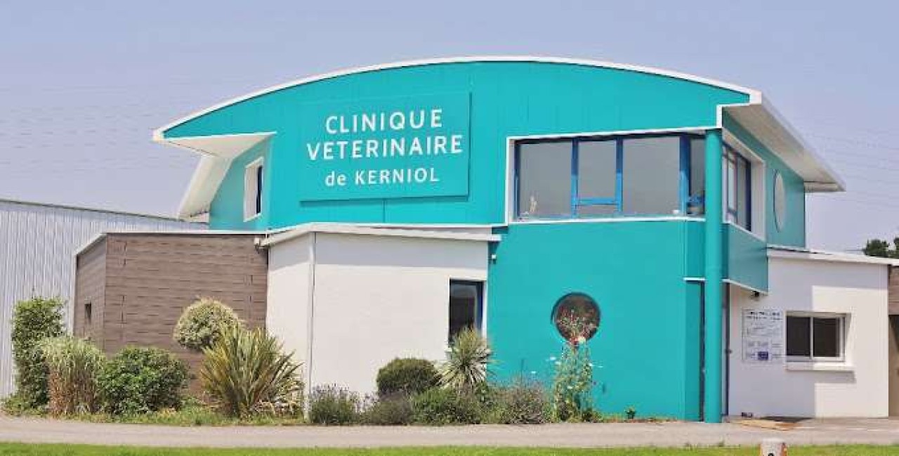 Vétérinaire canin – Vannes (56) (F/H)