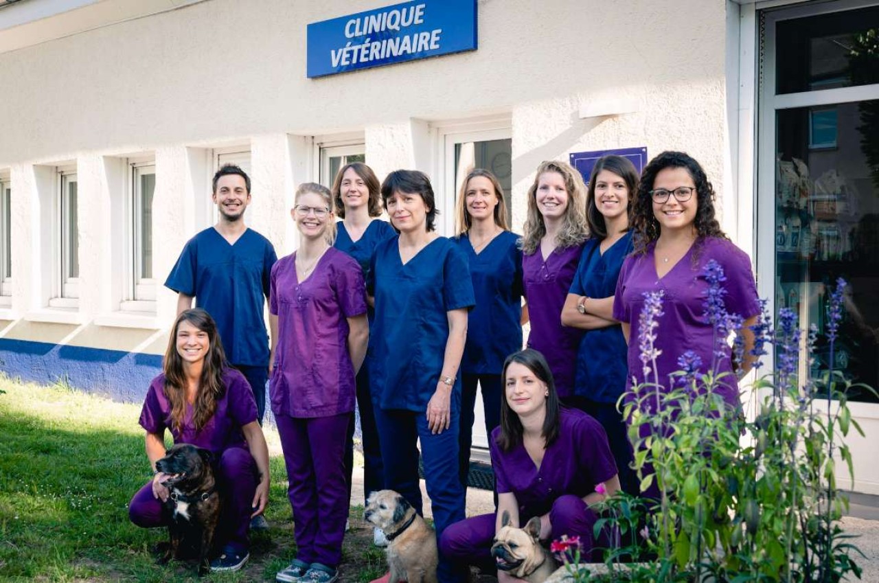 Clinique Vétérinaire De La Tuilerie