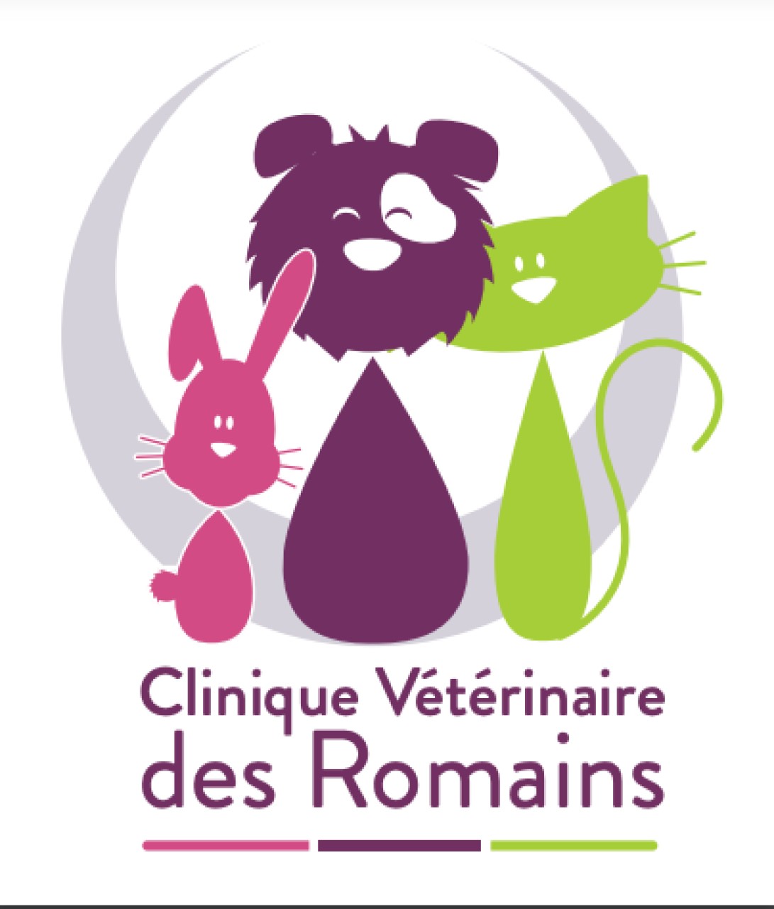 SELARL VETERINAIRE DES ROMAINS