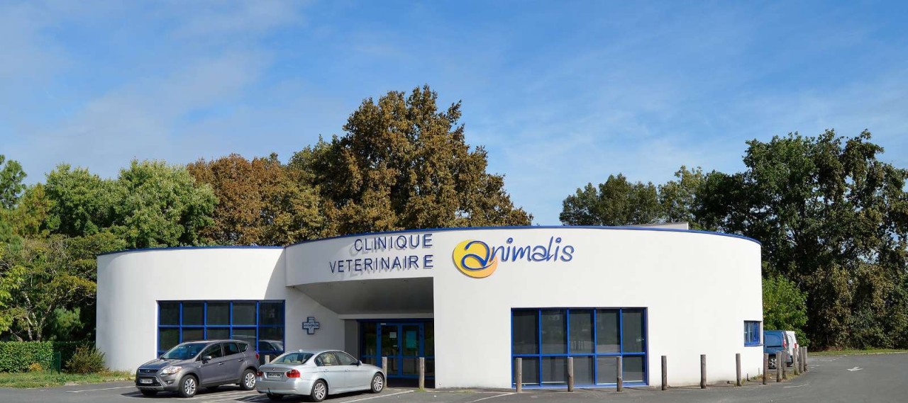 Clinique Vétérinaire Animalis