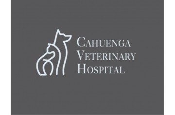 Cahuenga Veterinary Hospital