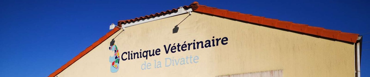 Clinique Veterinaire De La Divatte