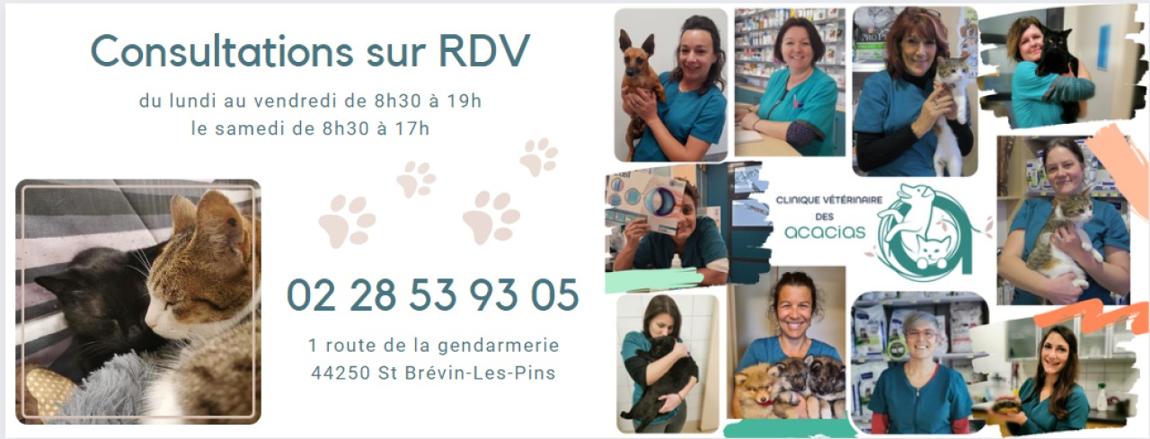 Clinique Vétérinaire des Acacias