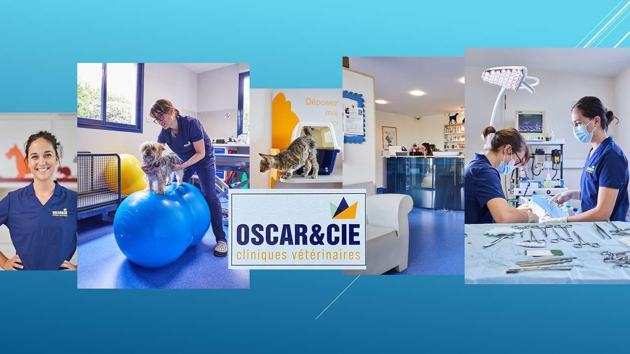 Oscar Et Compagnie Cliniques Vétérinaires