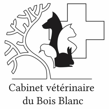  Cabinet Vétérinaire Du Bois Blanc 