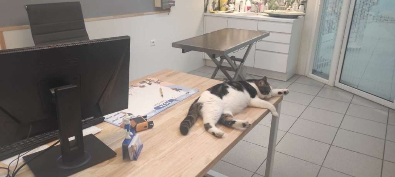 Selarl Clinique Veterinaire De L'écluse