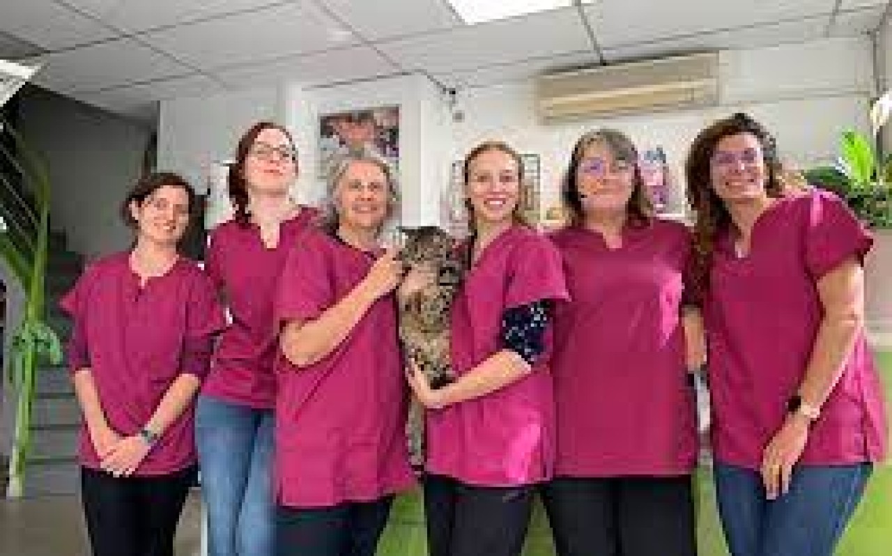 Clinique Vétérinaire Plein Centre