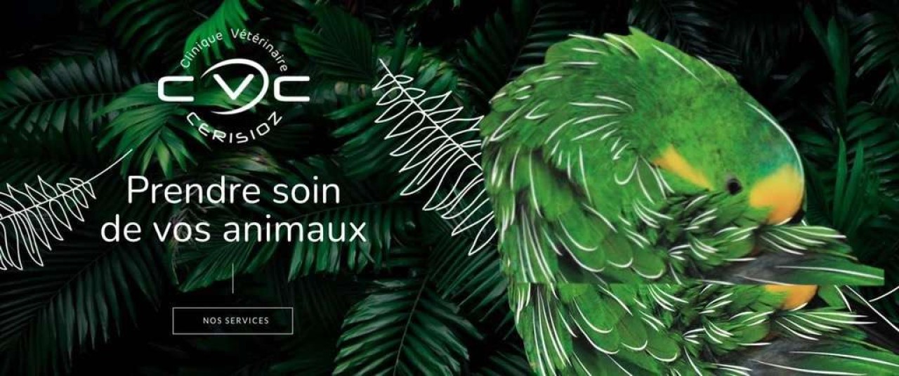Sel Clinique Vétérinaire Des Cerisioz