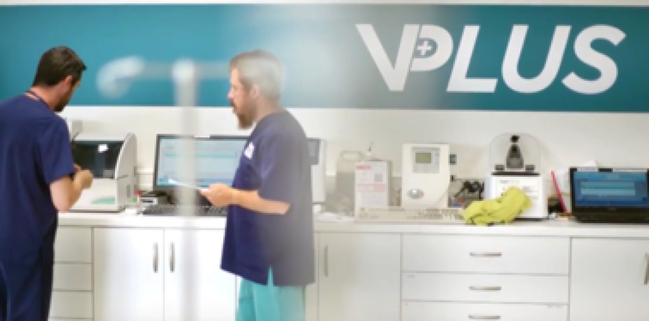 VPLUS Services