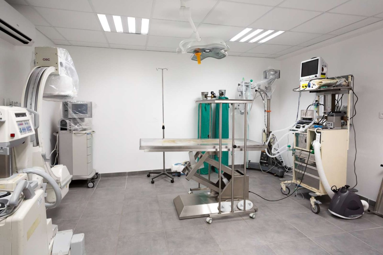 Clinique Veterinaire Domitia