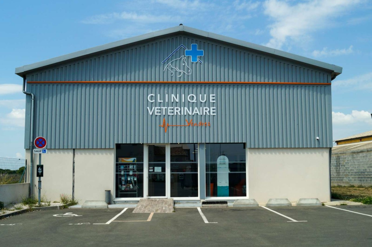 Clinique Vétérinaire des grandes vignes