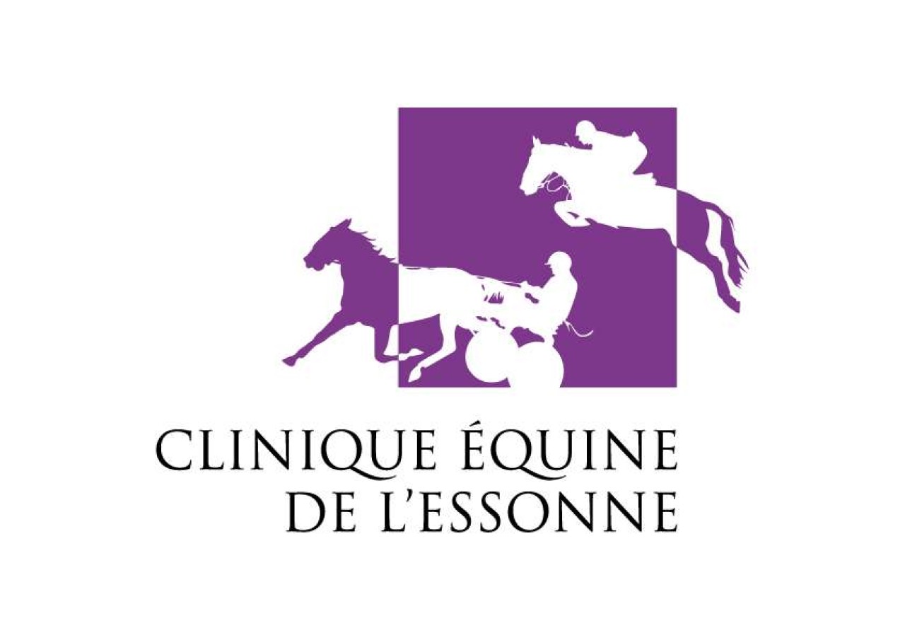 CLINIQUE EQUINE DE L ESSONNE