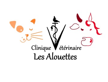 SDF Clinique Les Alouettes