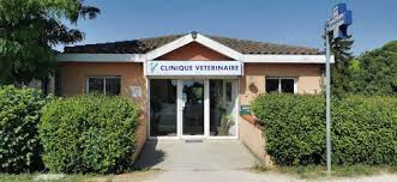 Clinique Vétérinaire Val De Save