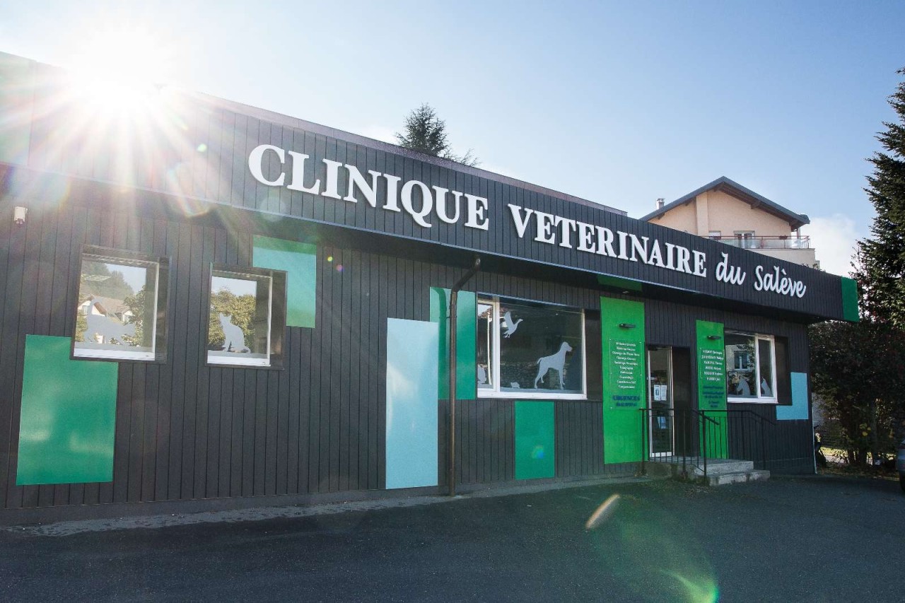 Clinique vétérinaire du Salève