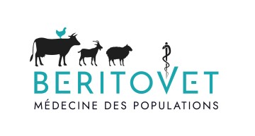 selas Béritovet Conseil