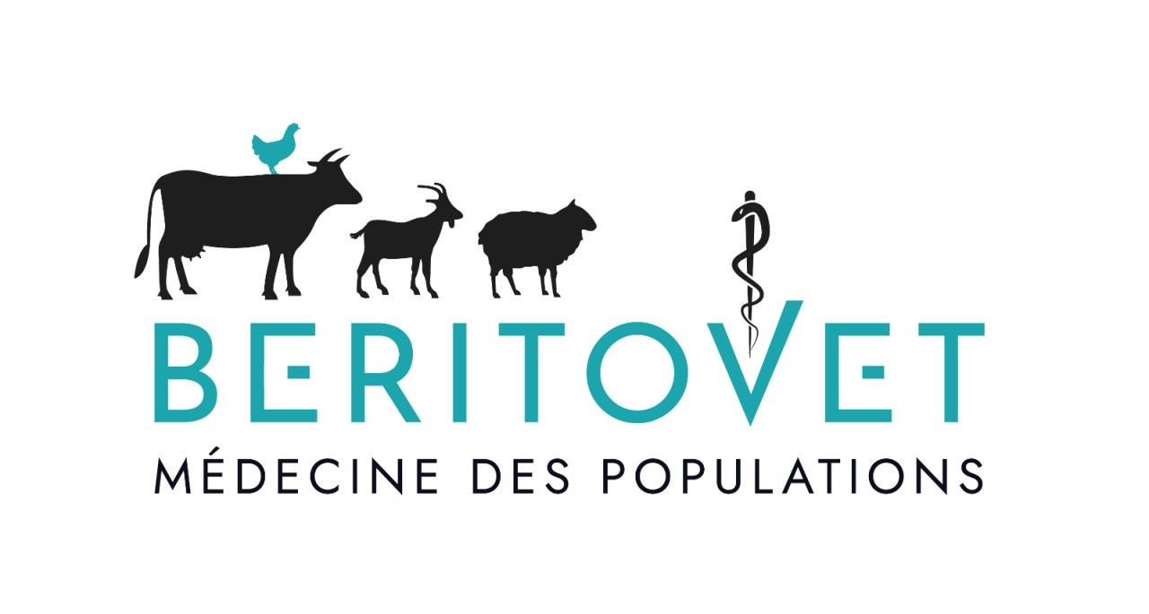 selas Béritovet Conseil