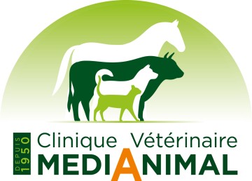 Clinique Vétérinaire MediAnimal