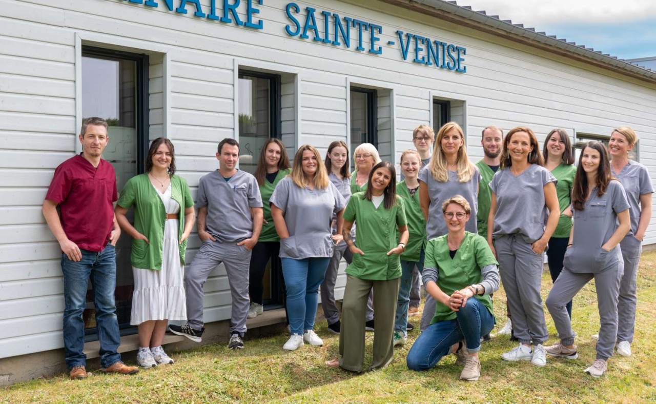 Clinique Vétérinaire Sainte Venise